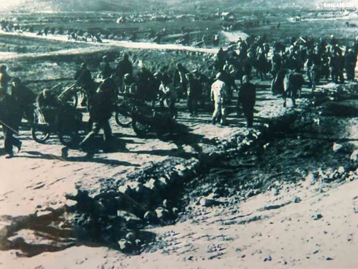 平（平頂山）舞（舞陽）會戰